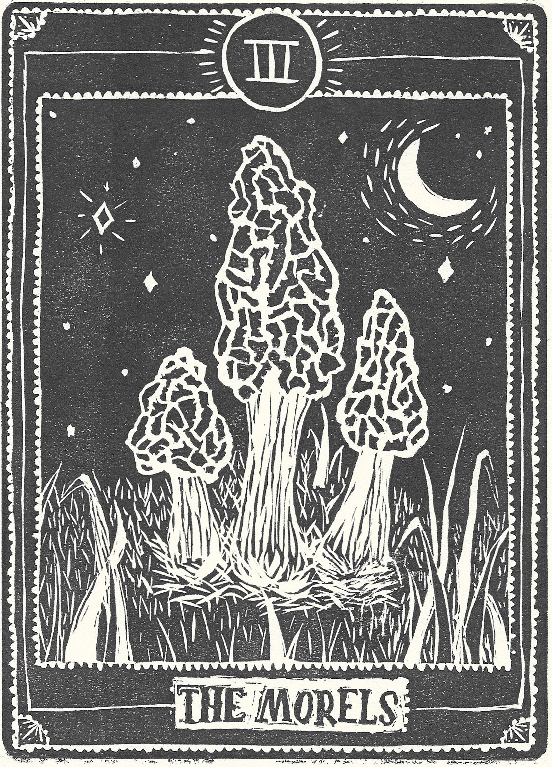 Black and white print that looks like a tarot card with morel mushrooms.